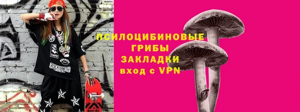 героин Алексин