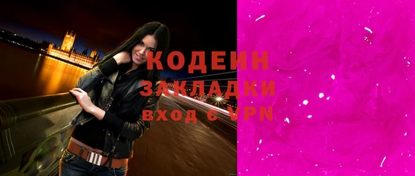 соль ск Няндома