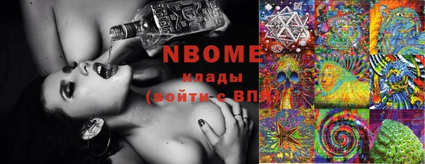 гашик Новодвинск