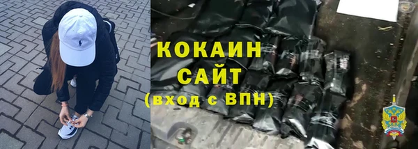 ГАЛЛЮЦИНОГЕННЫЕ ГРИБЫ Осинники