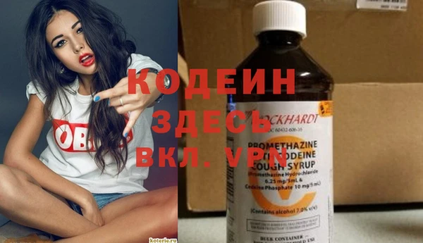 соль ск Няндома
