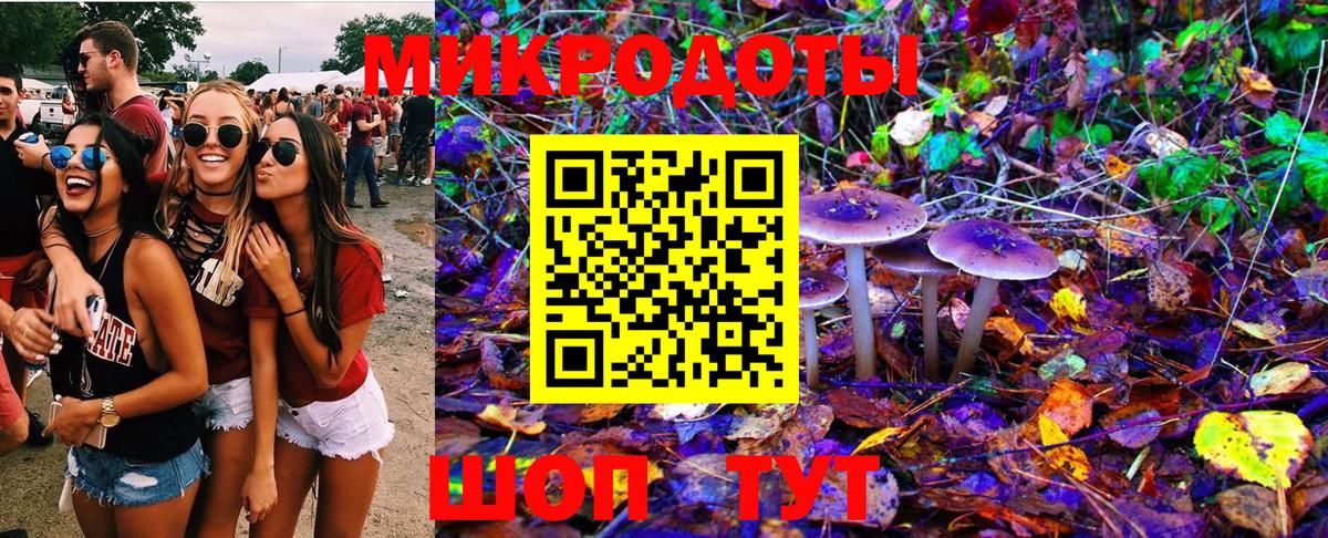 Псилоцибиновые грибы ЛСД Салават