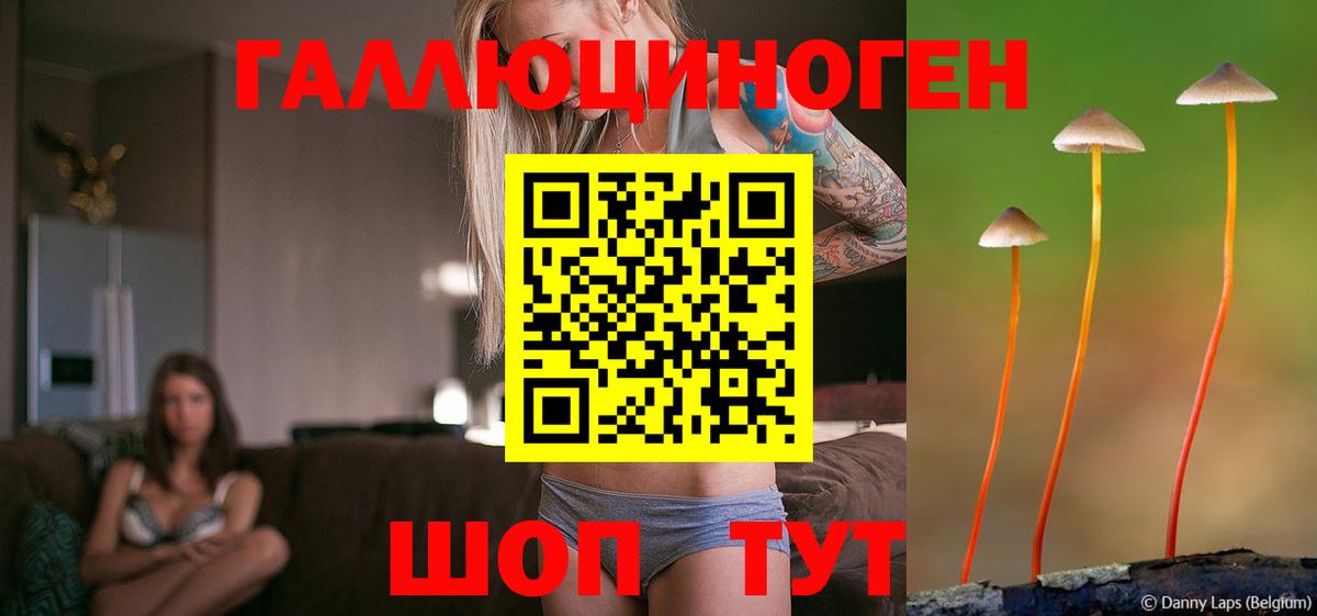 Псилоцибиновые грибы мицелий Салават