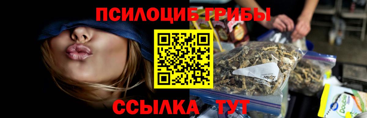 Галлюциногенные грибы Psilocybine cubensis  Галлюциногенные грибы Psilocybe  Салават 