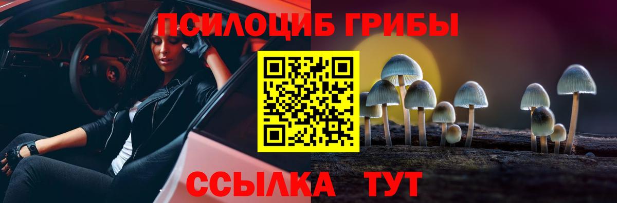 Галлюциногенные грибы MAGIC MUSHROOMS  Вход с VPN  Псилоцибиновые грибы прущие грибы  Салават 